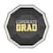 8" Congrats Grad Dinner Plates, 10ct. by Celebrate It™